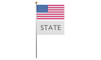 US Flag and Generic State Flag